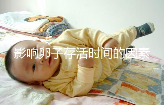 影響卵子存活時間的因素剖析:年齡起主導作用