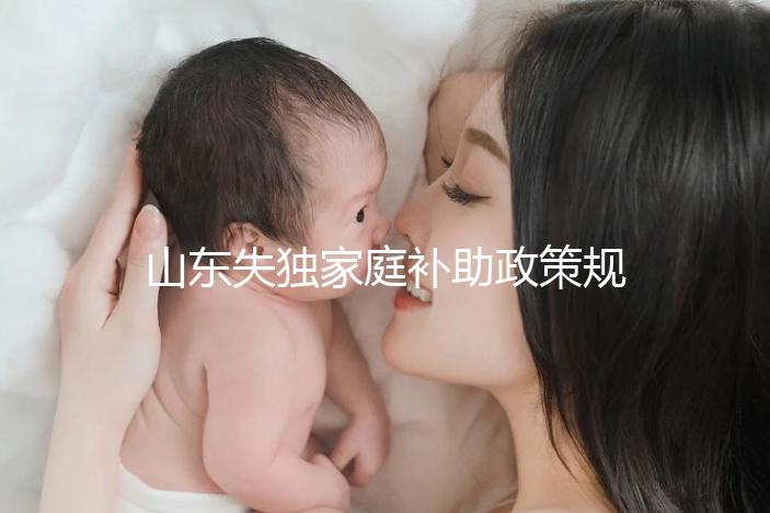 山東失獨家庭補助政策規定2024，濟南超過60歲每月領一千