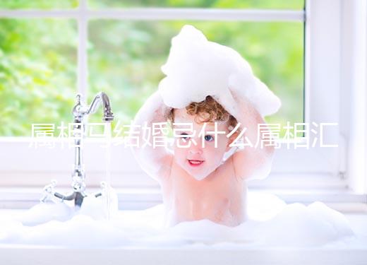 屬相馬結婚忌什么屬相匯總，2023和鼠、牛真相克請三思