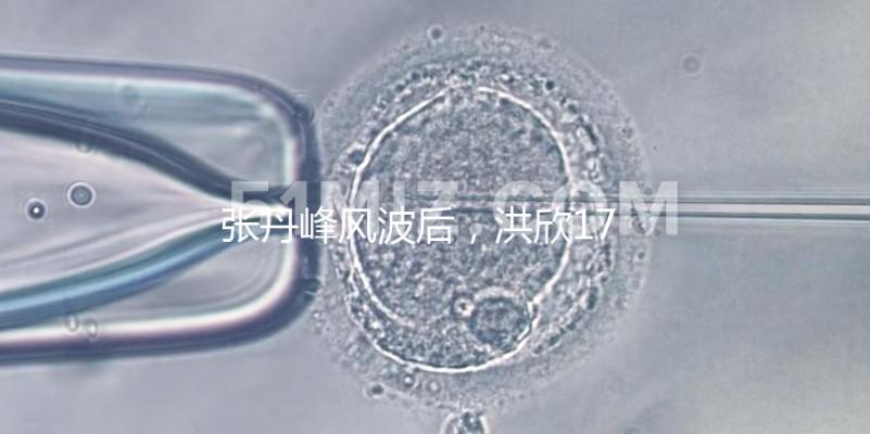 張丹峰風波后,洪欣17歲兒子表白媽媽一家人疑似和好如初