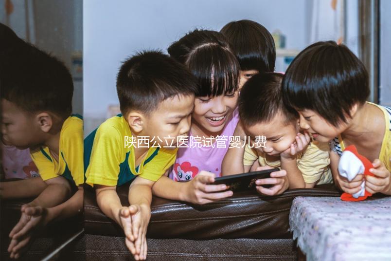 陜西公立醫院試管嬰兒費用明細表，2024助孕一次多少錢看這