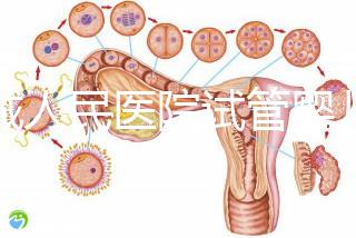 聊城人民醫(yī)院試管嬰兒成功率怎么樣，3大助孕案例告訴你答案