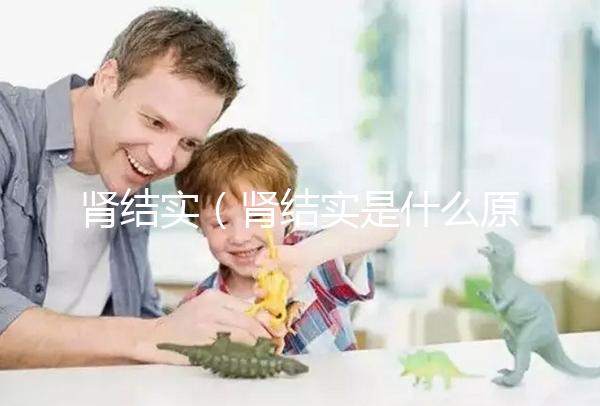 腎結實(腎結實是什么原因引起的)
