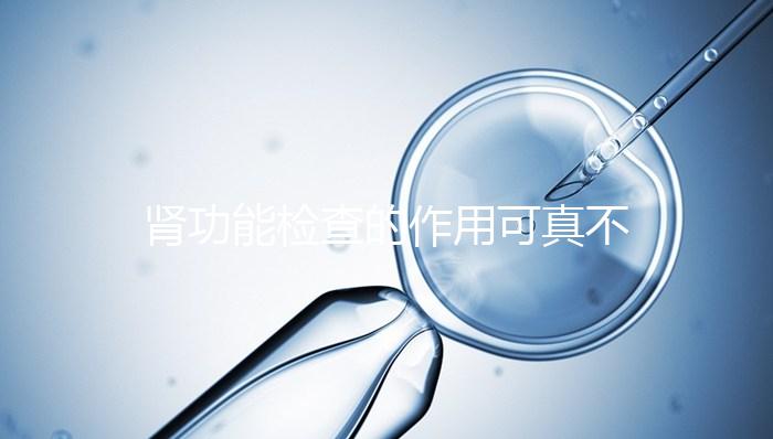 腎功能檢查的作用可真不少,讓腎臟疾病無(wú)所遁形