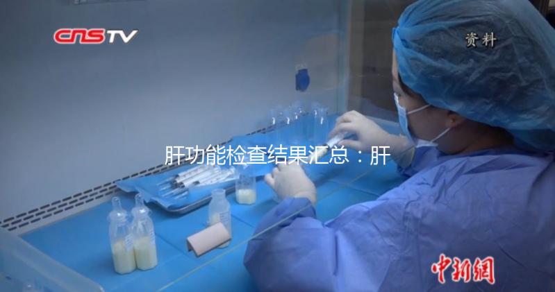 肝功能檢查結(jié)果匯總：肝損傷只是其中一項