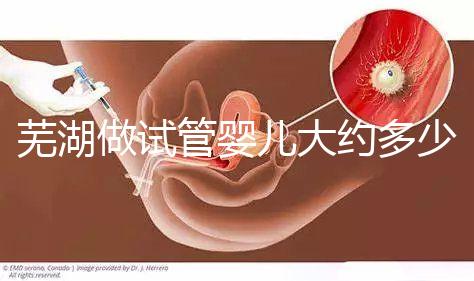 蕪湖做試管嬰兒大約多少錢(qián)？一次成功率高嗎？