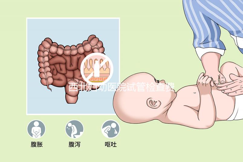 西北婦幼醫(yī)院試管檢查費(fèi)用流出！做完記得來(lái)這領(lǐng)報(bào)告單
