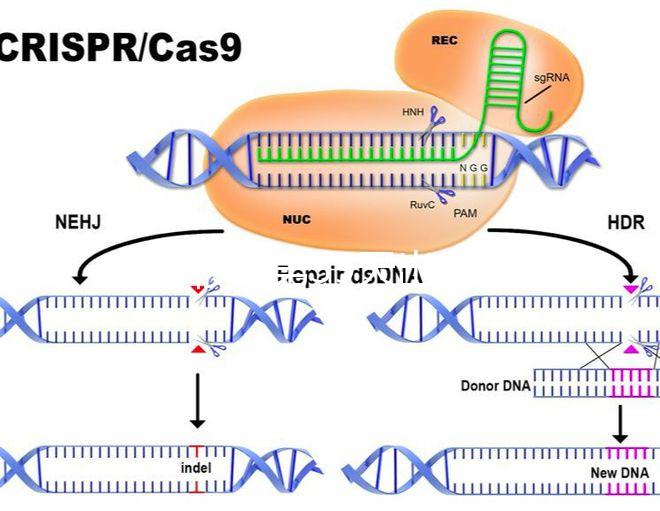 試管移植第39天出血需警惕!3招讓你與流產說拜拜