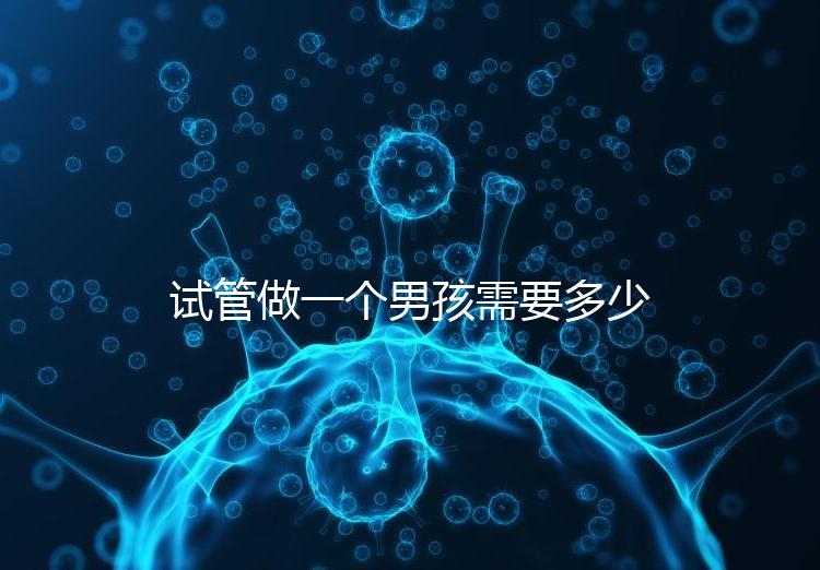 試管做一個男孩需要多少錢呢
