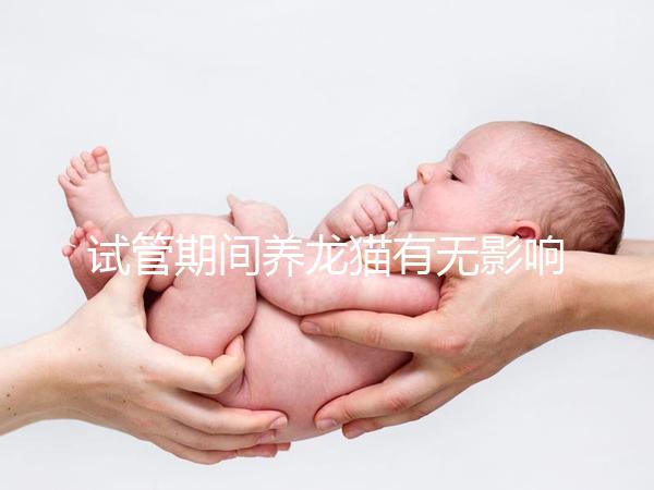 試管期間養(yǎng)龍貓有無(wú)影響剖析，是否胎停、流產(chǎn)取決這幾點(diǎn)