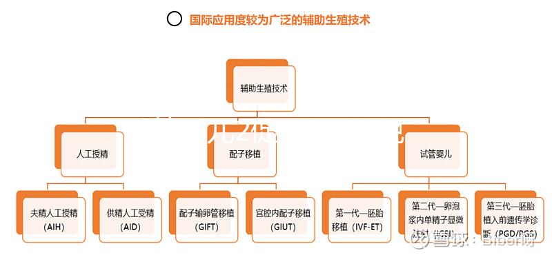 試管嬰兒2促3移，說說5點(diǎn)我的成功懷孕經(jīng)驗(yàn)
