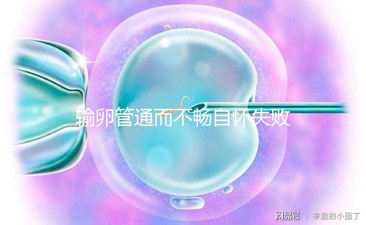 輸卵管通而不暢自懷失??！37歲高齡做試管嬰兒成功“好孕”