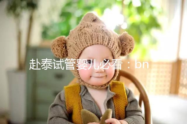 赴泰試管嬰兒必看：bnh和ibaby(愛寶貝)醫(yī)院對(duì)比介紹