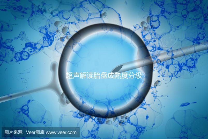 超聲解讀胎盤成熟度分級標準，二級到三級時間真說不準