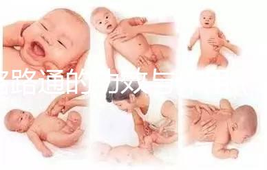 路路通的功效與作用(路路通的功效與作用主要治什么病)