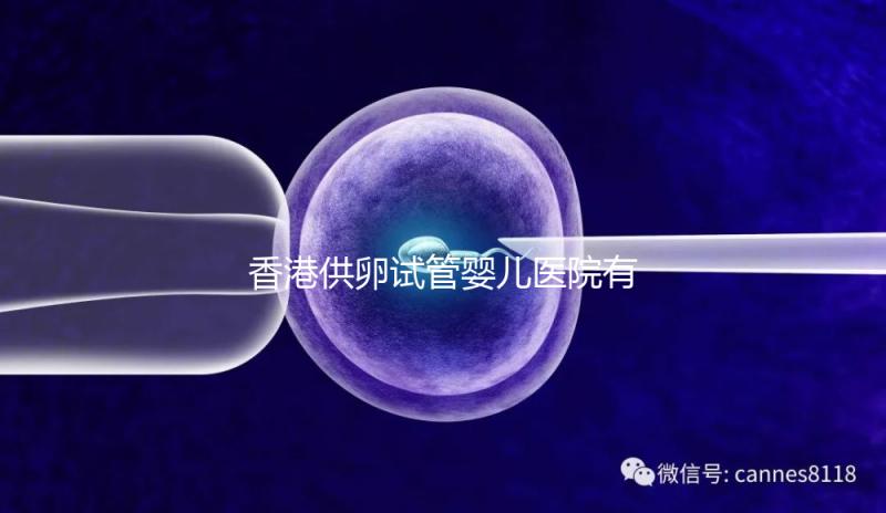 香港供卵試管嬰兒醫院有哪些點?附2024私立機構排名