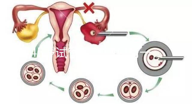 45歲試管促排卵只有一個卵泡不正常別數(shù)了我該怎么辦？