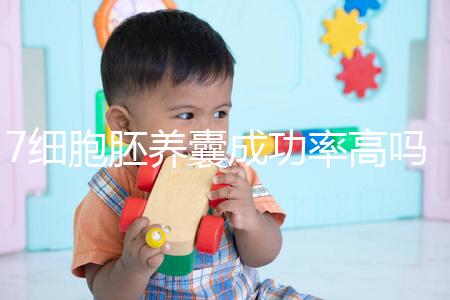 7細(xì)胞胚養(yǎng)囊成功率高嗎?聽聽做過試管的姐妹怎么說