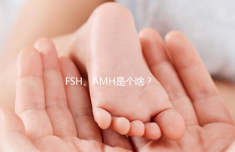 FSH、AMH是個啥?卵巢功能好不好看這些指標!
