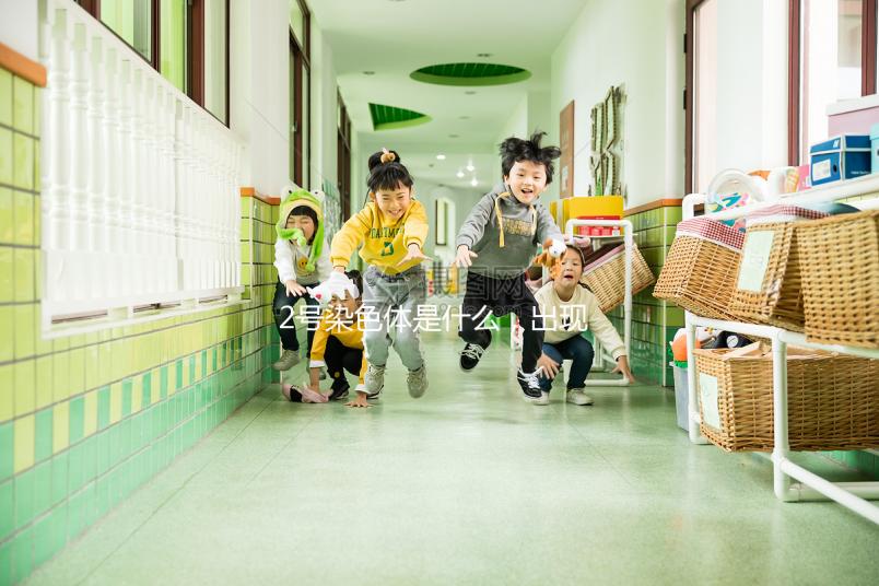 2號染色體是什么，出現異常有哪些后果