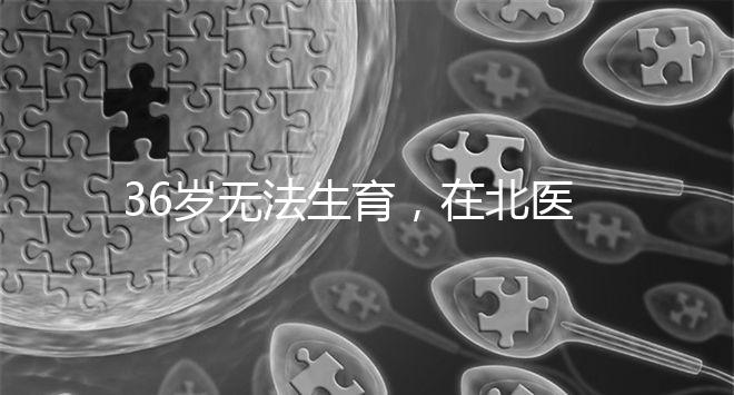 36歲無法生育，在北醫三院做人工授精成功率有多少？