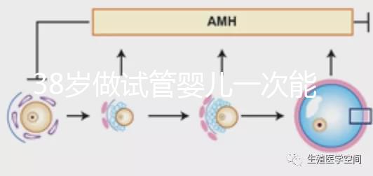38歲做試管嬰兒一次能成功嗎？提前準(zhǔn)備好這4點(diǎn)或許可以