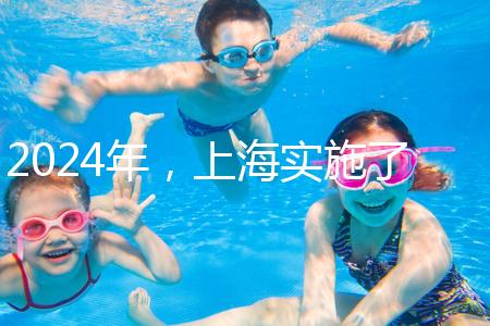 2024年，上海實施了新的生育保險政策，單獨生兩個孩子也可以享受待遇