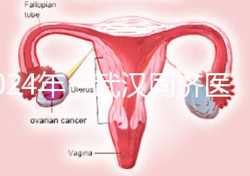 2024年,武漢同濟(jì)醫(yī)院不孕癥醫(yī)生排名公布,選擇專(zhuān)家迅速登記