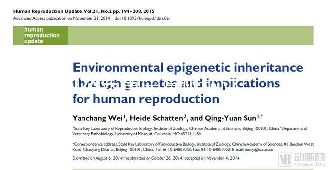 2024年重慶萬州私立婦產(chǎn)醫(yī)院排名整理，性價比高