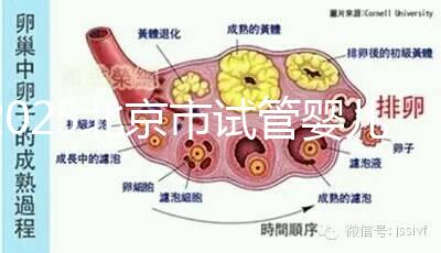 2025北京市試管嬰兒醫(yī)院大全,去這幾家做無需提供結婚證
