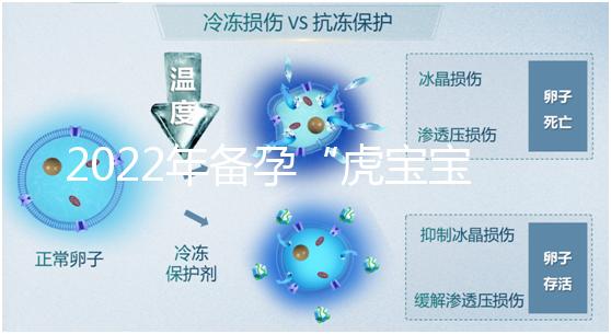 2022年備孕“虎寶寶”時間表，生孩子選這幾個月命最好